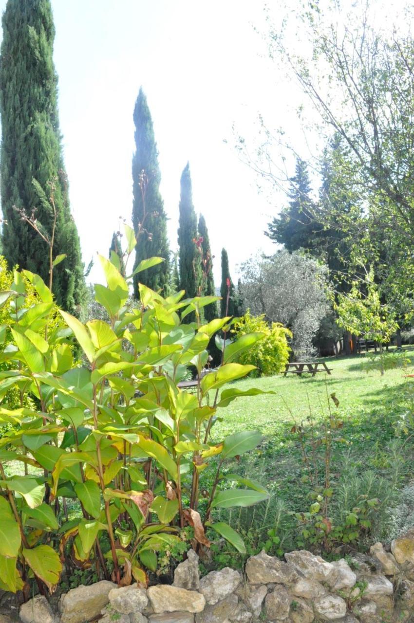 Agriturismo Soiano Famiglia Rolfini Montaione Exterior photo